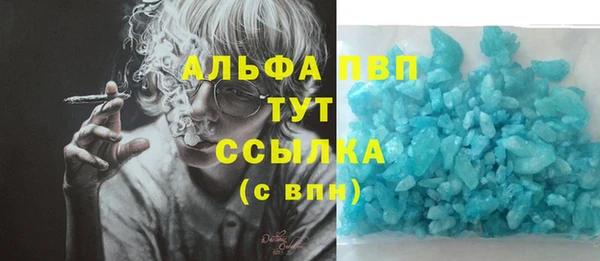 винт Алзамай