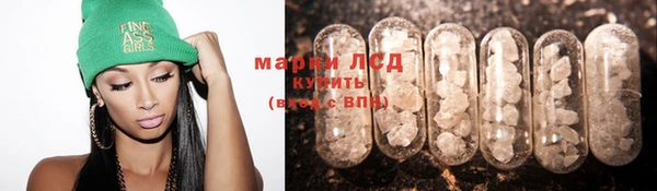 винт Алзамай
