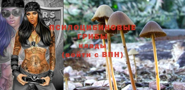 винт Алзамай