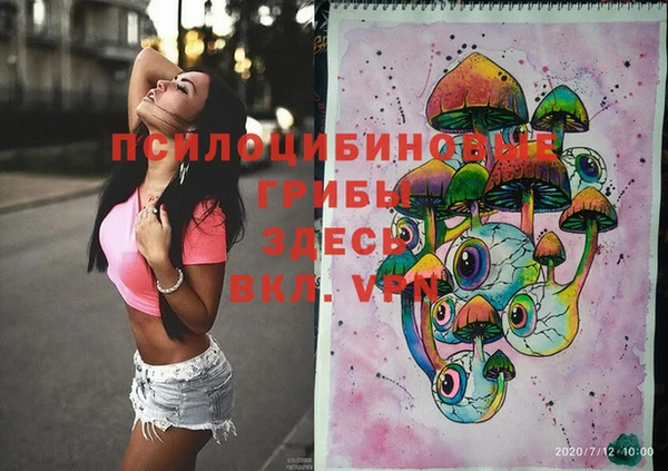 винт Алзамай