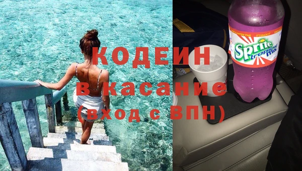 прущие грибы Алексеевка