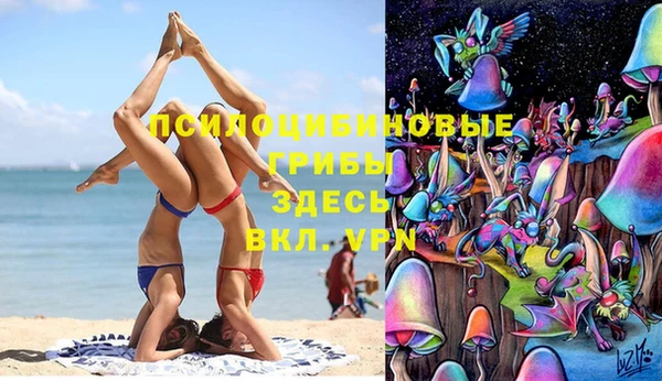 винт Алзамай