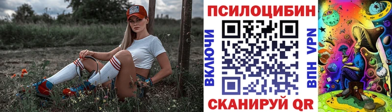 продажа наркотиков  Балашов  Псилоцибиновые грибы MAGIC MUSHROOMS 